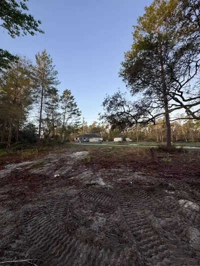 Before and after underbrush removal using forestry mulching equipment by Dirt Dynamics