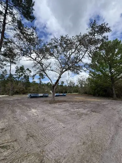 In-progress tree and brush removal during a Dirt Dynamics property cleanup project