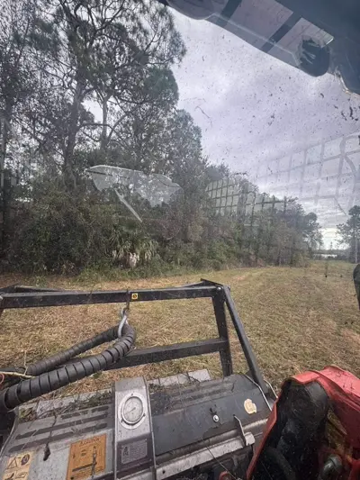 Forestry mulching machine clearing thick underbrush and palmetto in Central Florida