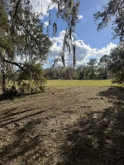 Fence line cleared of overgrown vegetation using forestry mulching by Dirt Dynamics