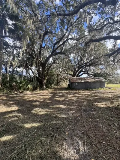 Forestry mulching equipment processing vegetation on a Central Florida property