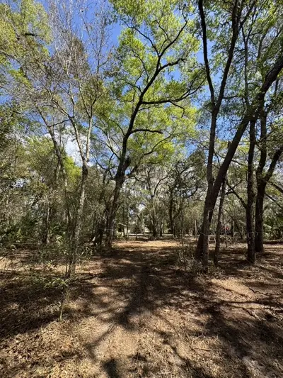 Residential lot fully cleared by forestry mulching with protective mulch ground cover